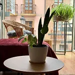 Balcon Del Rosal Apartment Oviédo
