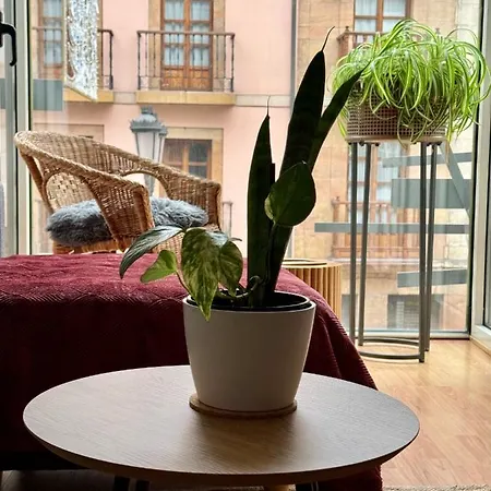 Balcon Del Rosal Apartment Oviedo